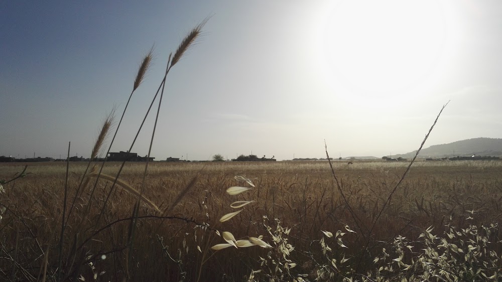 Gölbaşı Gazi İlkokulu Fotoğrafları 5