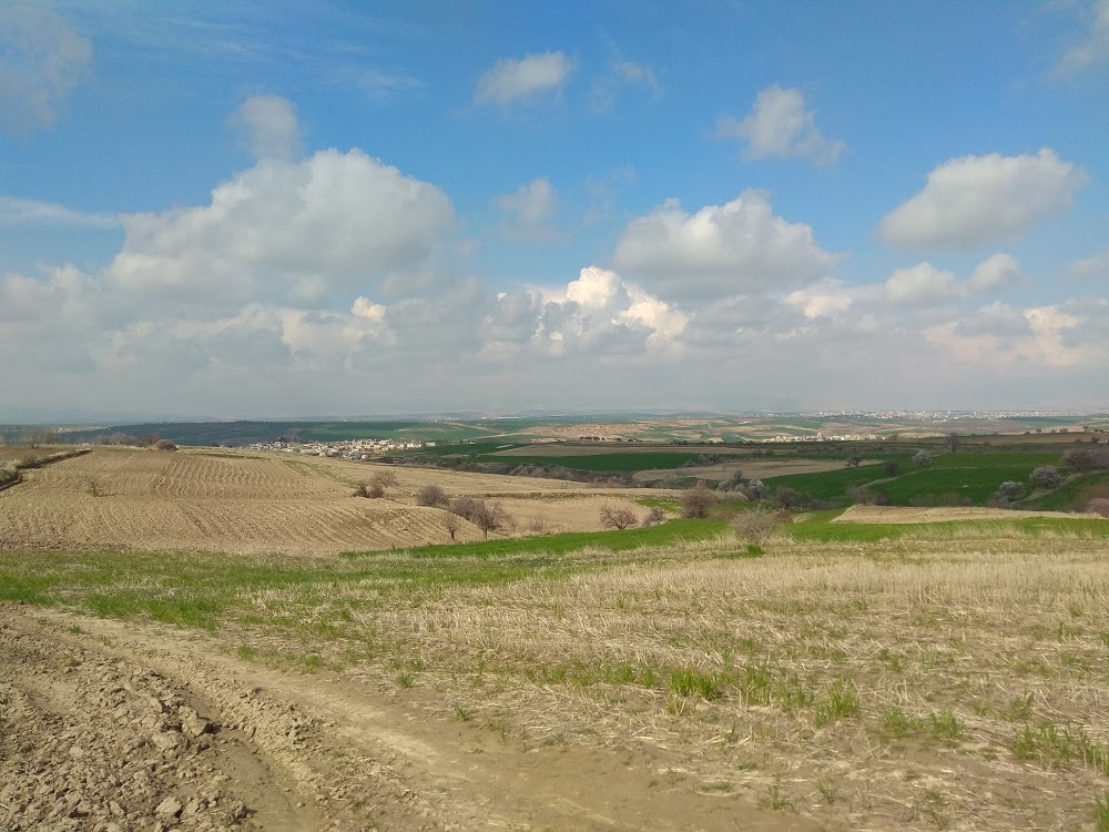 Kahta Gazi Ortaokulu Fotoğrafları 2