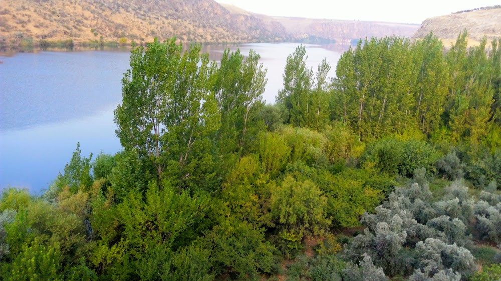 Gümüşkaya İlkokulu Fotoğrafları 3