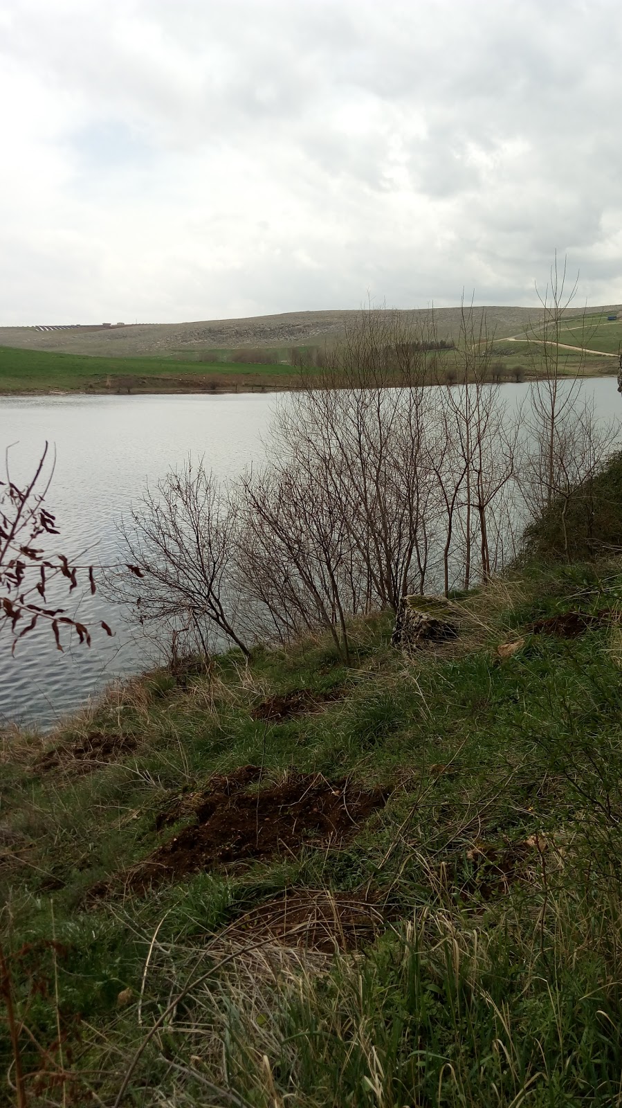 Gümüşkaya Ortaokulu Fotoğrafları 1