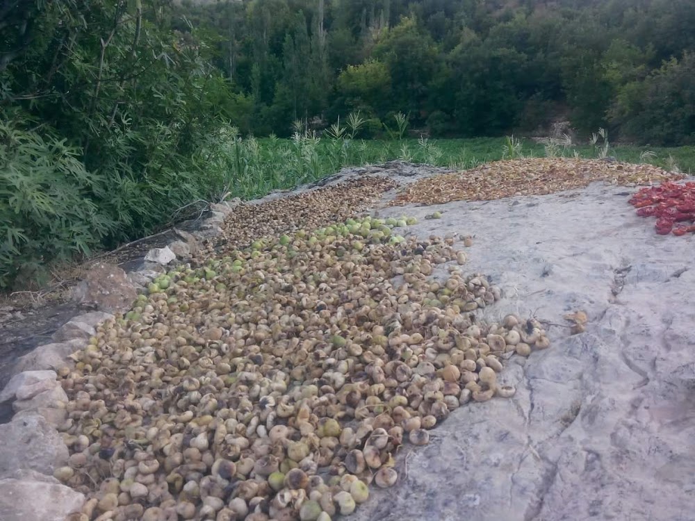 İncekoz Mezrası İlkokulu Fotoğrafları 4