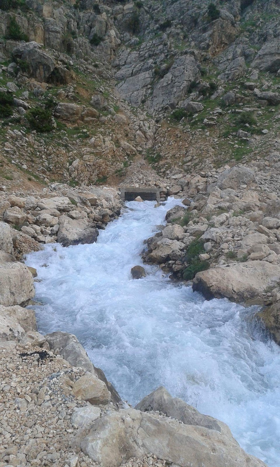 İncekoz Mezrası İlkokulu Fotoğrafları 5