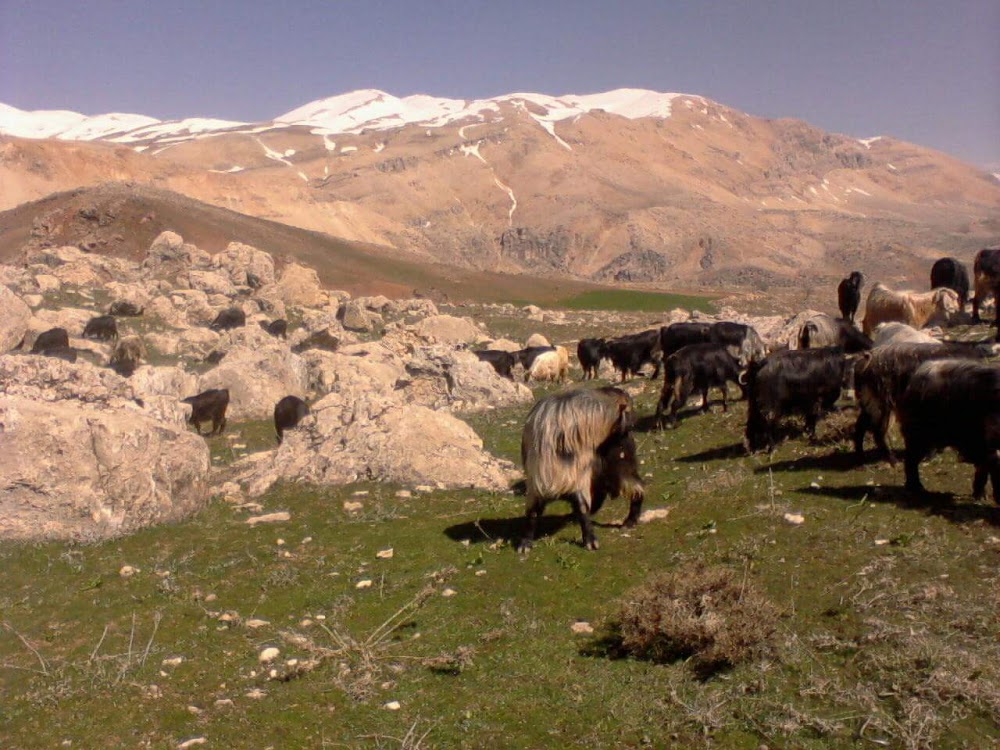 İncekoz Mezrası İlkokulu Fotoğrafları 1