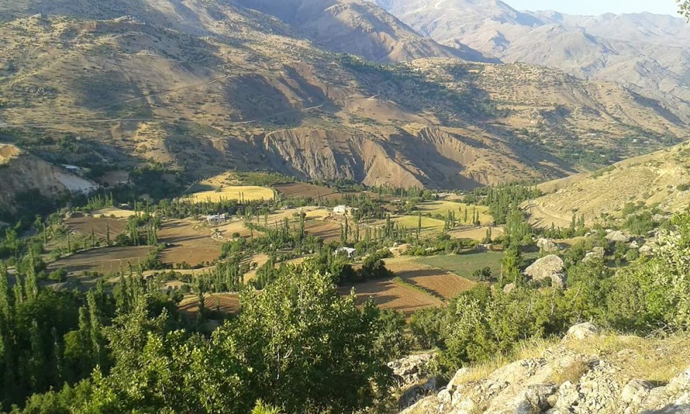 İncekoz Mezrası İlkokulu Fotoğrafları 3