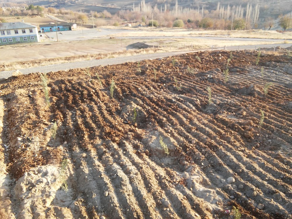 Küçük Hasancık İlkokulu Fotoğrafları 1