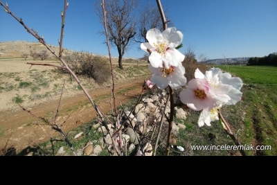 Adıyaman Merkez Ortaokulu fotoğraf 9