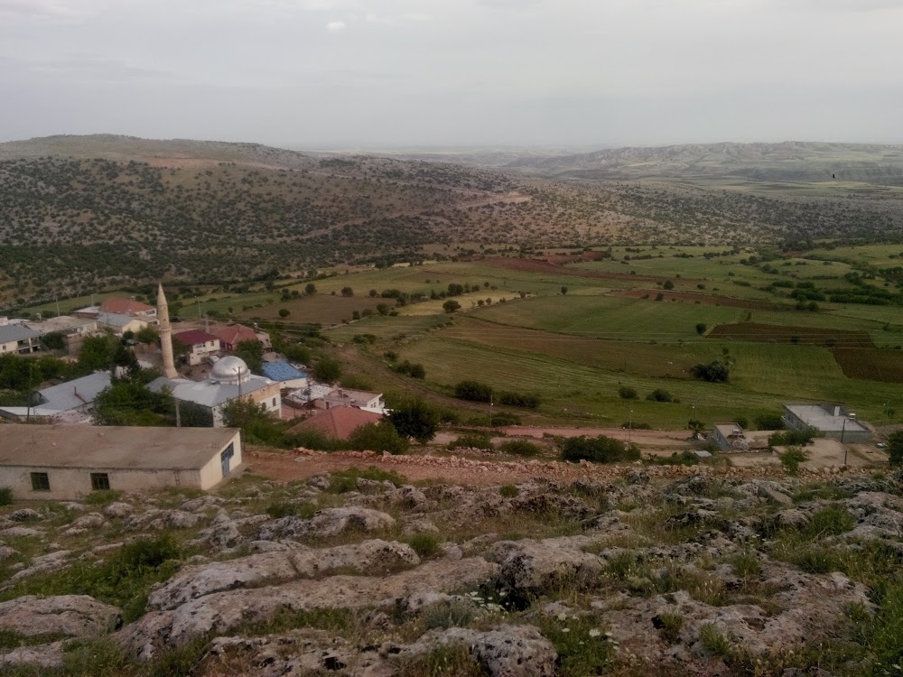 Pınaryayla Ortaokulu Fotoğrafları 1