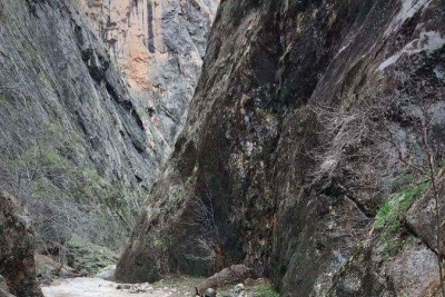 Şehit Yüzbaşı Rıza Fırat Meslekî Ve Teknik Anadolu Lisesi fotoğraf 3