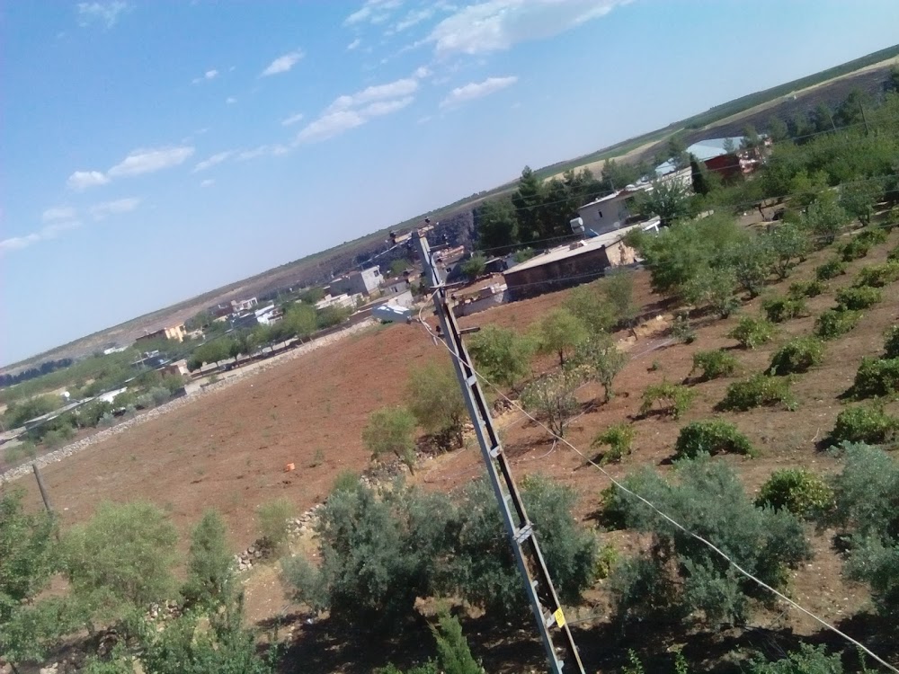 Besni Kızılin Çok Programlı Anadolu Lisesi Fotoğrafları 1