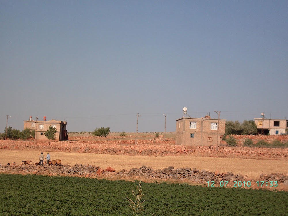 Levzin İlkokulu Fotoğrafları 2