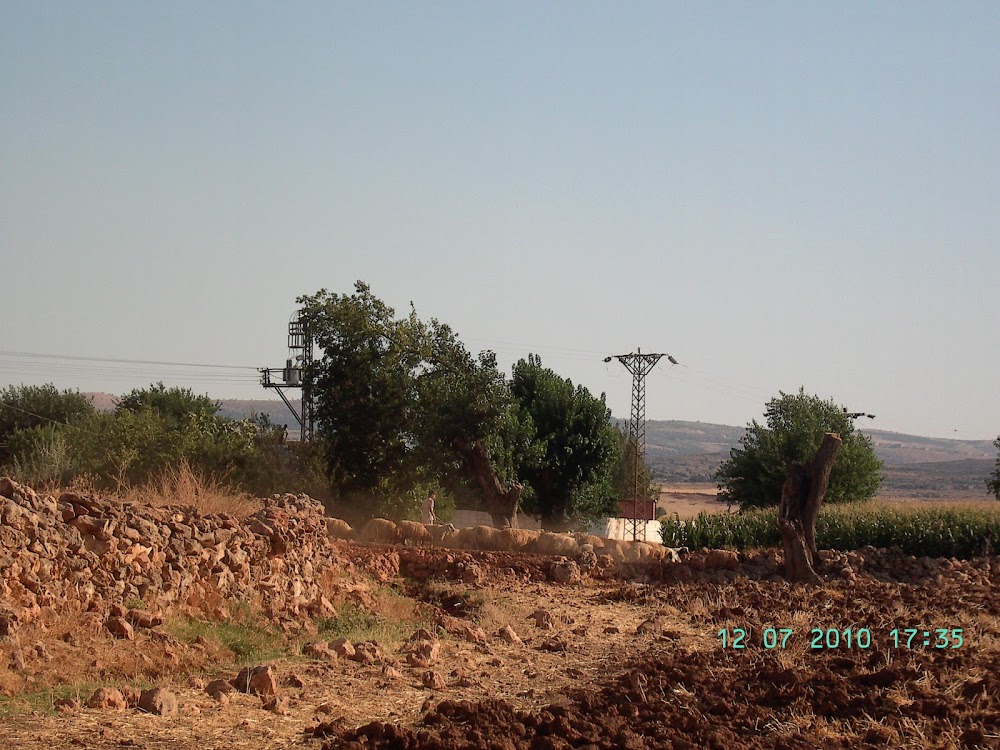 Satıluşağı İlkokulu Fotoğrafları 5