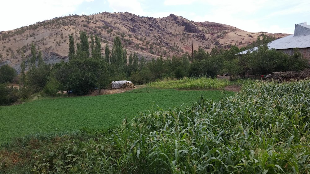 Gerger Ağaçlı İlkokulu Fotoğrafları 1