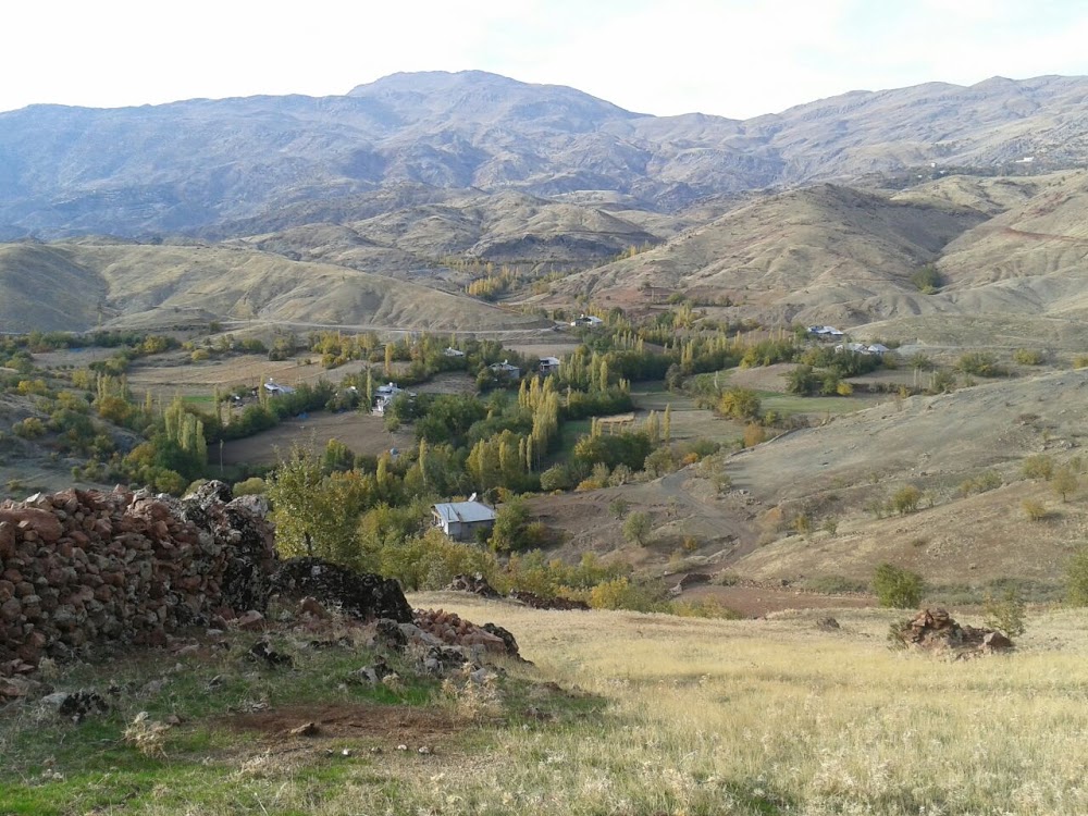 Adıyaman Ağaçlı Ortaokulu Fotoğrafları 2