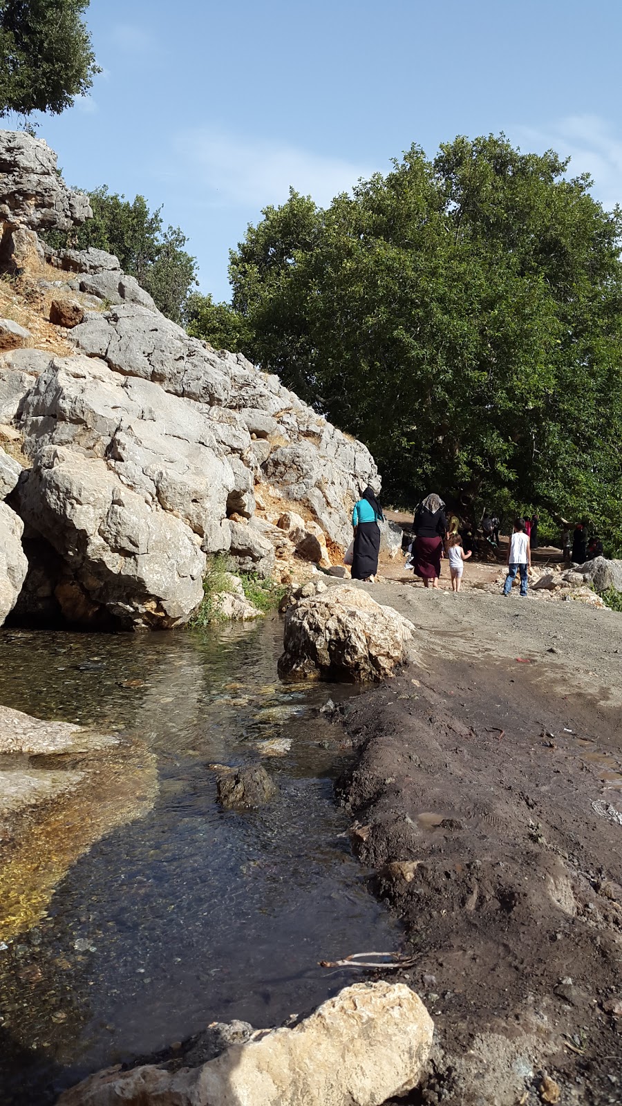 Adıyaman Ağaçlı Ortaokulu Fotoğrafları 1