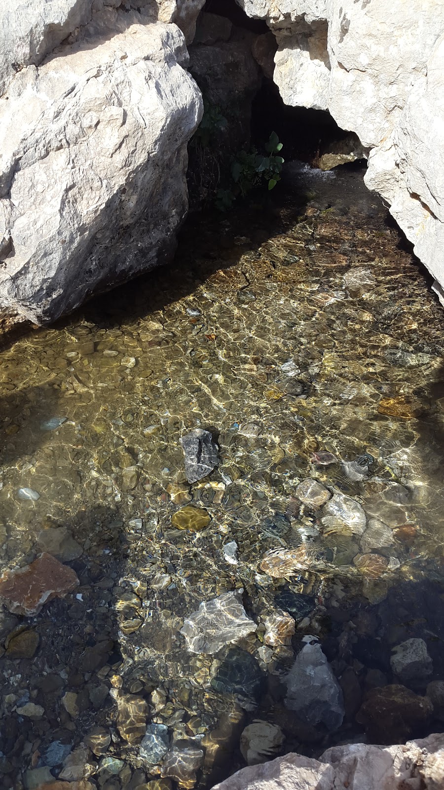 Adıyaman Ağaçlı Ortaokulu Fotoğrafları 4