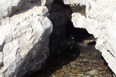 Adıyaman Ağaçlı Ortaokulu fotoğraf 4
