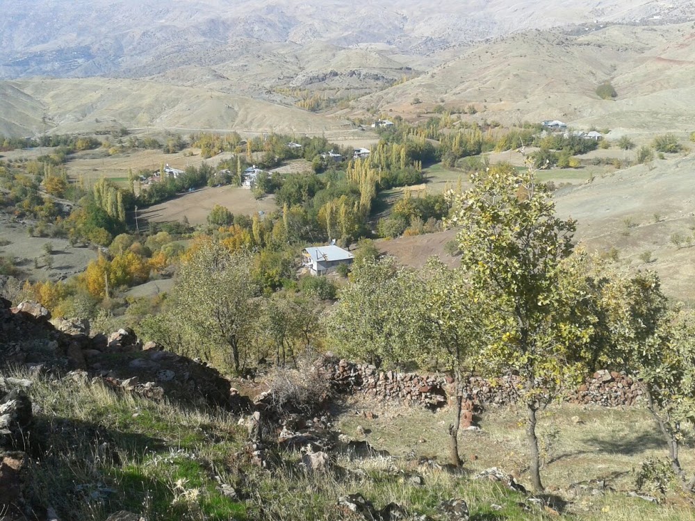 Gerger Ağaçlı İlkokulu Fotoğrafları 5