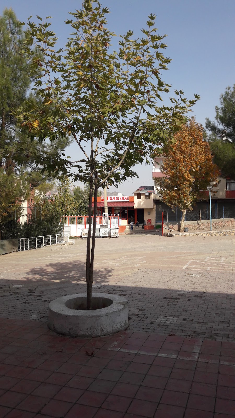 Balkar İlkokulu Fotoğrafları 7