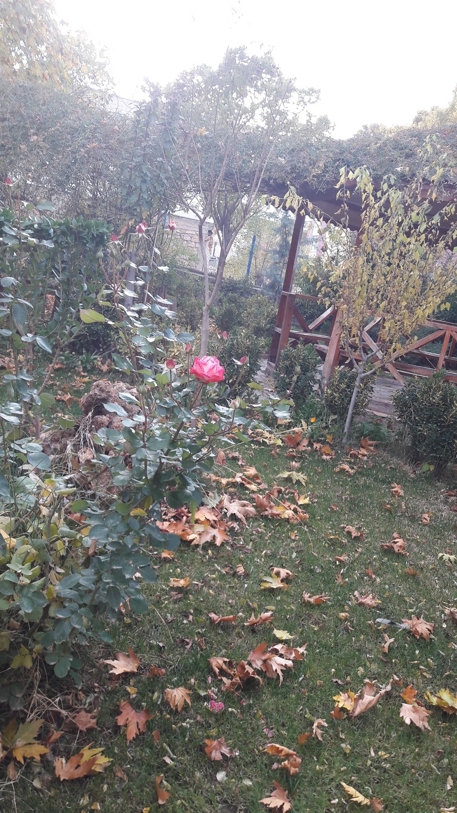 Balkar İlkokulu Fotoğrafları 5