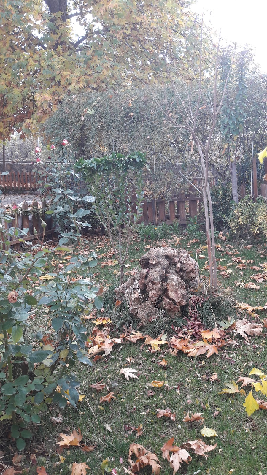 Balkar İlkokulu Fotoğrafları 3