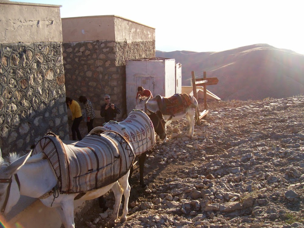 Adıyaman Damlacık İlkokulu Fotoğrafları 7