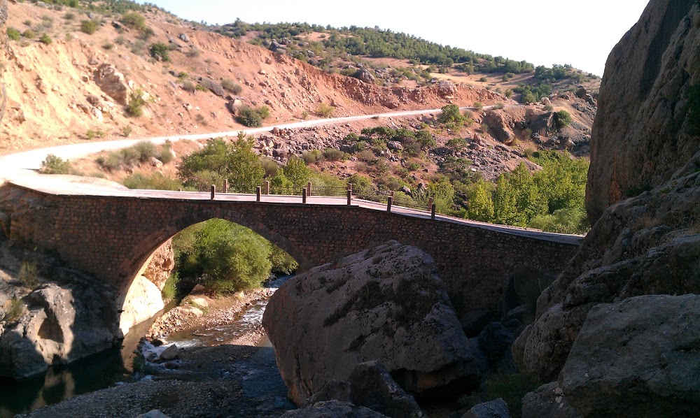 Adıyaman Damlacık İlkokulu Fotoğrafları 4
