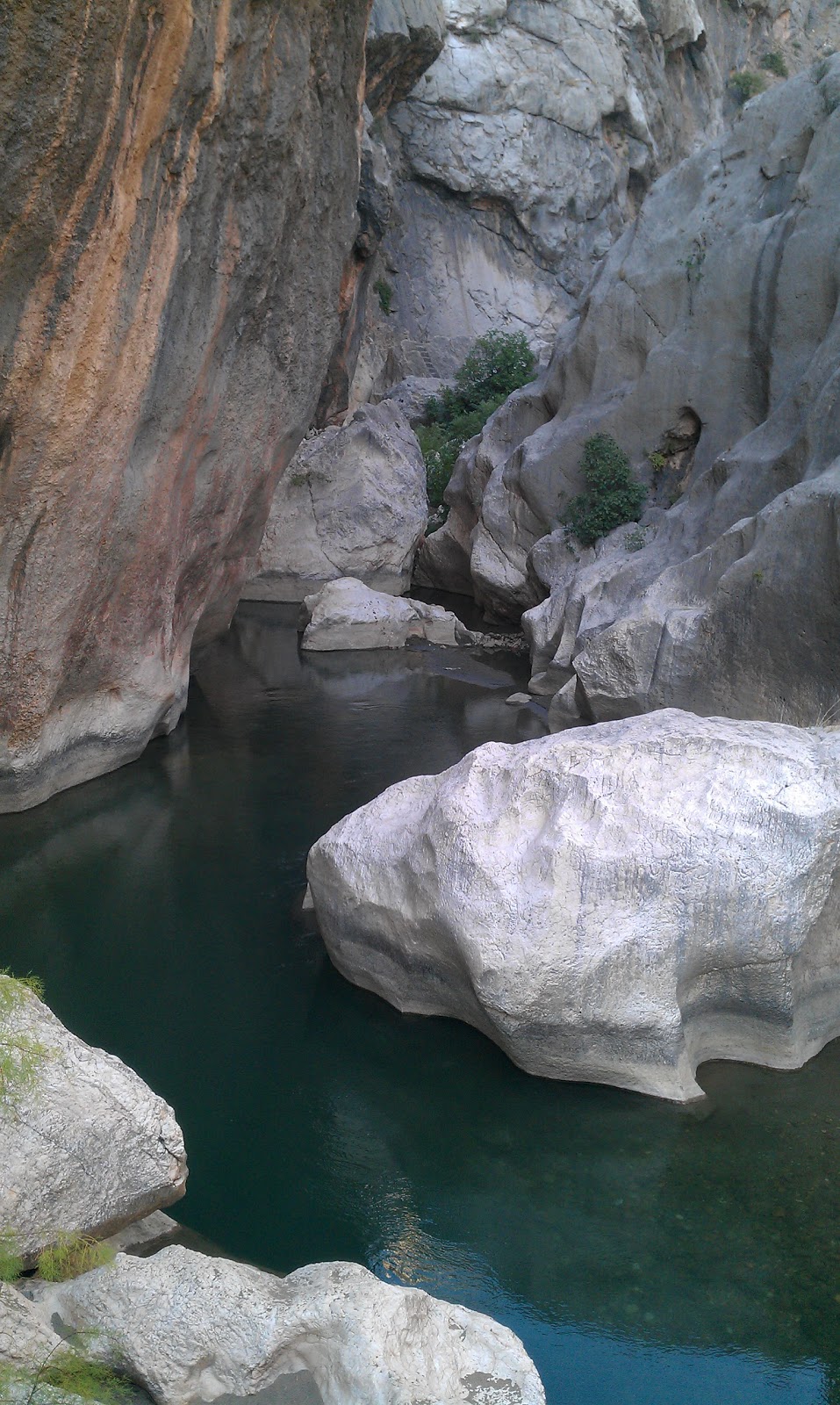 Adıyaman Damlacık İlkokulu Fotoğrafları 2
