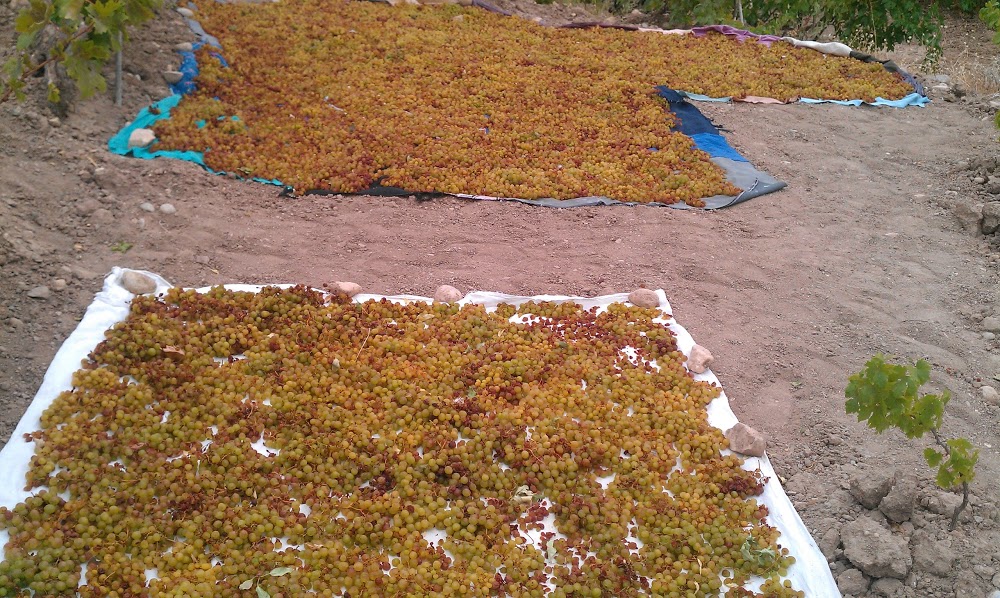 Adıyaman Damlacık İlkokulu Fotoğrafları 8