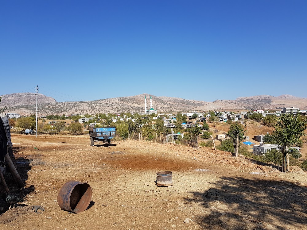 Erikli Aktoprak Ortaokulu Fotoğrafları 2