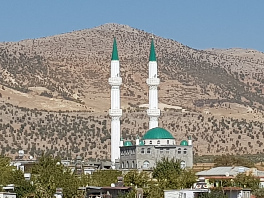 Erikli Aktoprak İlkokulu Fotoğrafları 1