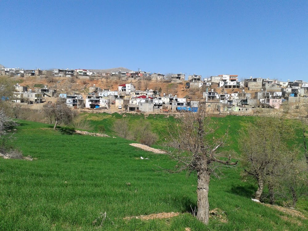 Erikli Aktoprak İlkokulu Fotoğrafları 3