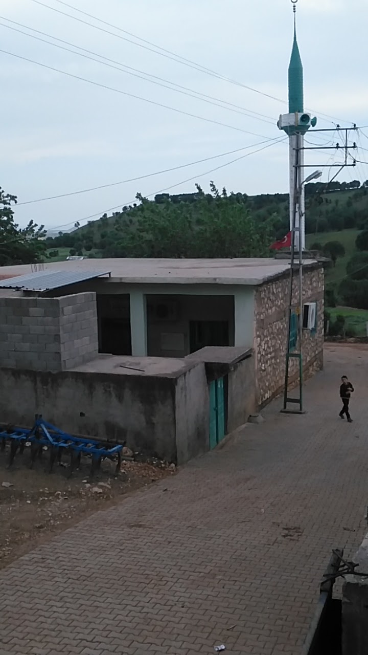 Erikli Aktoprak İlkokulu Fotoğrafları 5