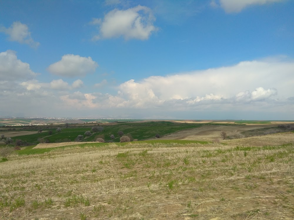 Toki Akşemseddin İlkokulu Fotoğrafları 2