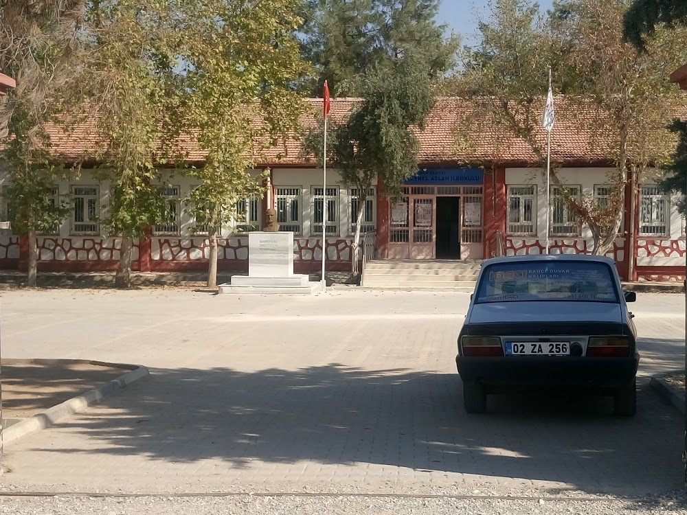 Zeynel Aslan Ortaokulu Fotoğrafları 2