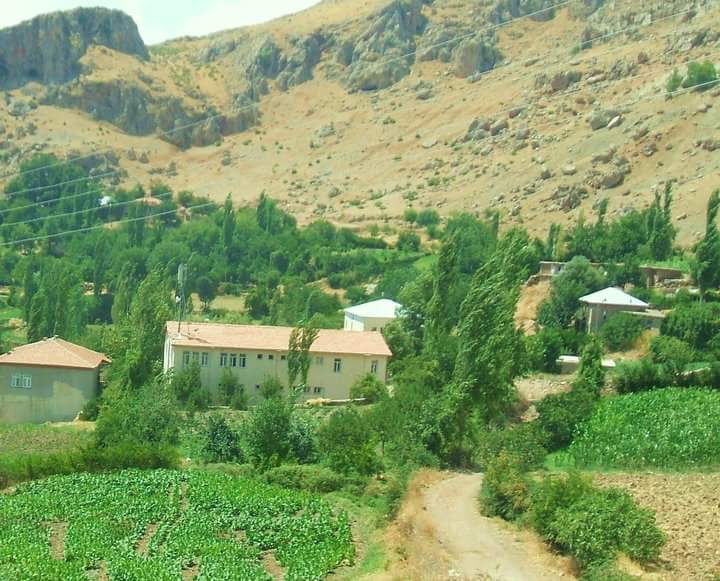 İnlice Ortaokulu Fotoğrafları 1