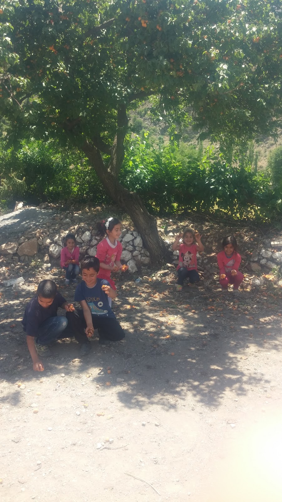 Adıyaman Pınarbaşı İlkokulu Fotoğrafları 4