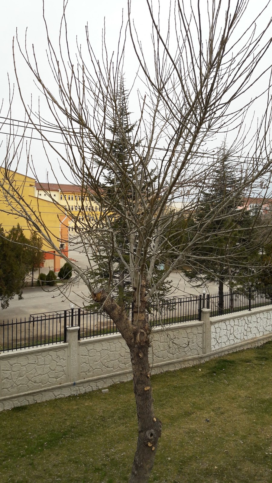 Afyonkarahisar Mesleki Ve Teknik Anadolu Lisesi Fotoğrafları 8