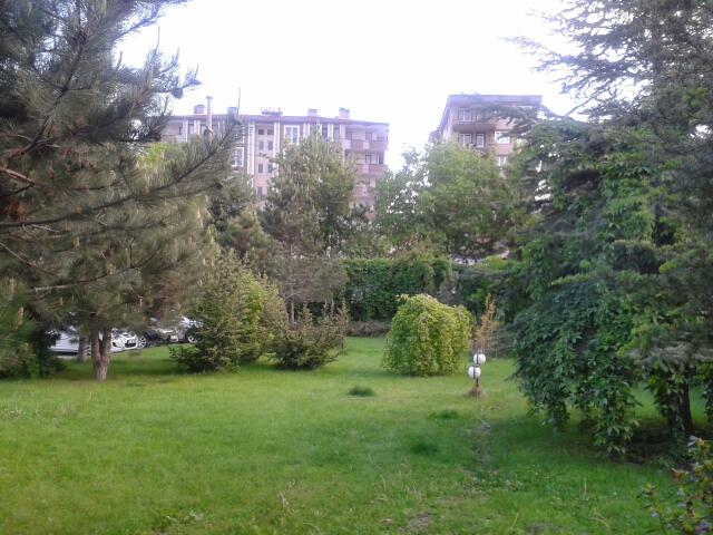 Afyonkarahisar Atatürk Mesleki Ve Teknik Anadolu Lisesi Fotoğrafları 8