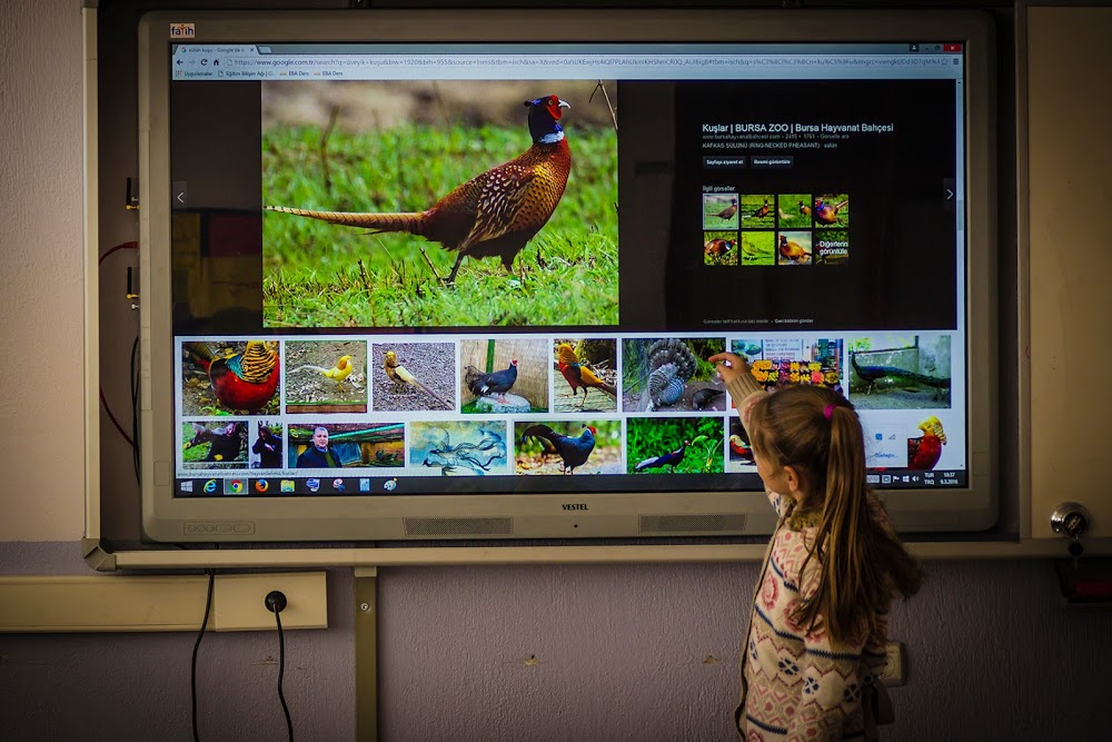 Bayraktepe Ortaokulu Fotoğrafları 4