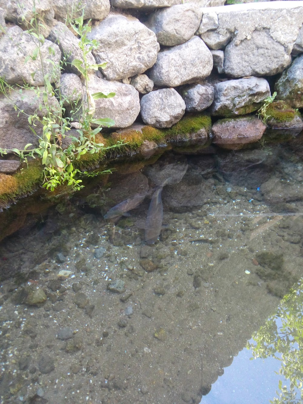 Değirmenayvalı İlkokulu Fotoğrafları 1