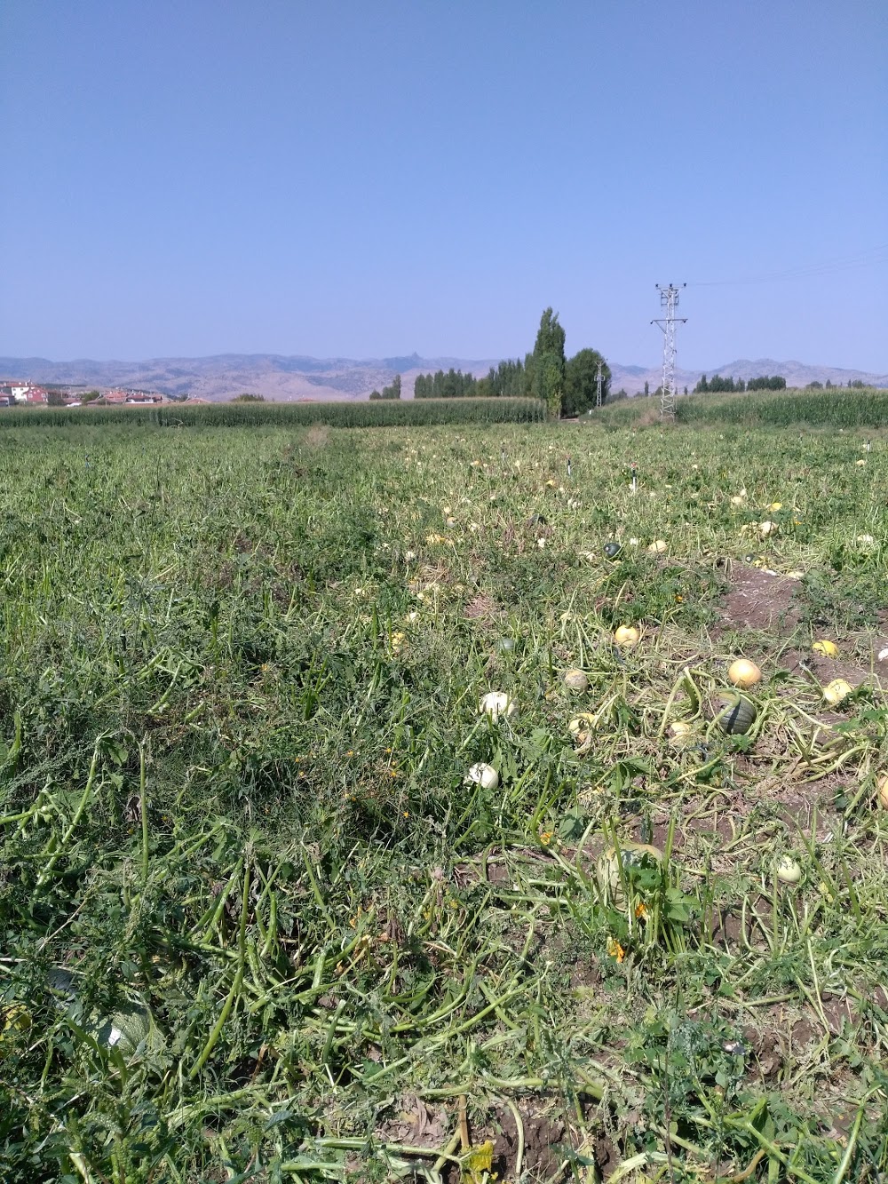 Nuribey İsmet Atilla Ortaokulu Fotoğrafları 2