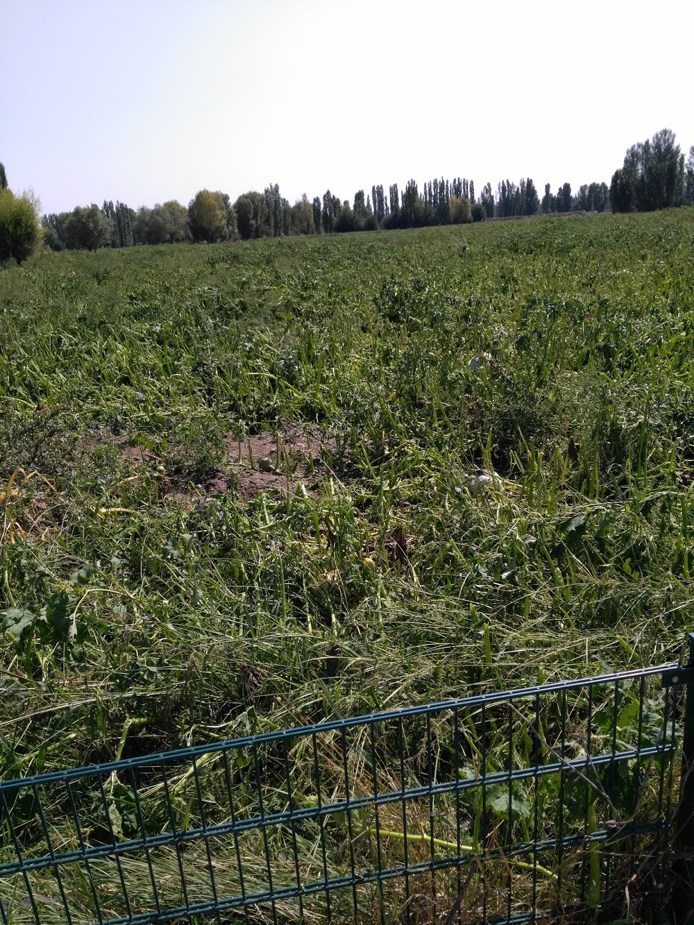 Nuribey İsmet Atilla Ortaokulu Fotoğrafları 3