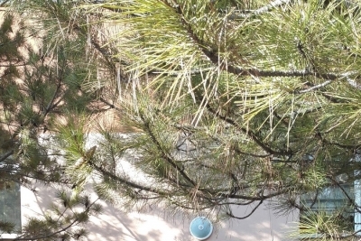 Öğretmen Saniye Sayıoğlu İlkokulu fotoğraf 2