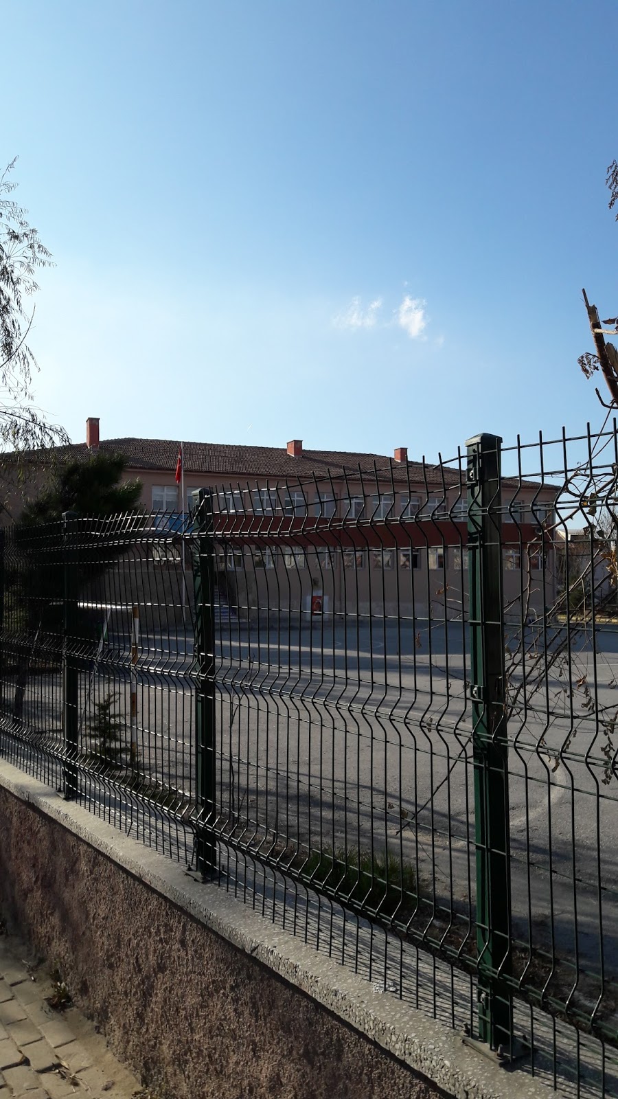 Öğretmen Saniye Sayıoğlu İlkokulu Fotoğrafları 3