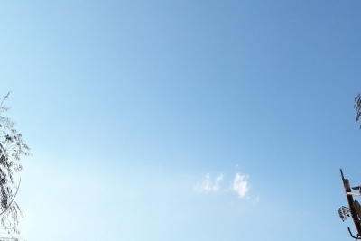 Öğretmen Saniye Sayıoğlu İlkokulu fotoğraf 3