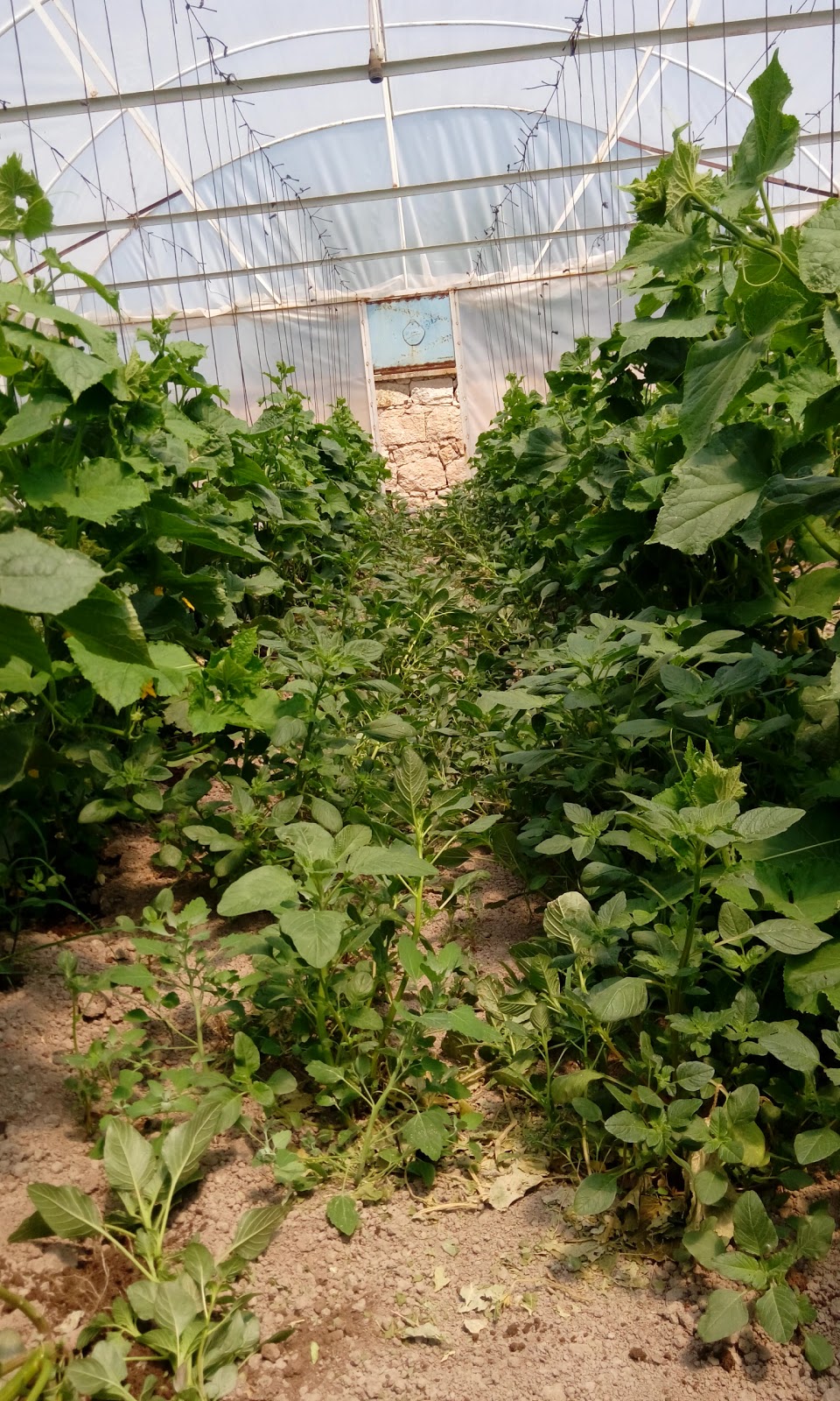 Sadıkbey Ortaokulu Fotoğrafları 1