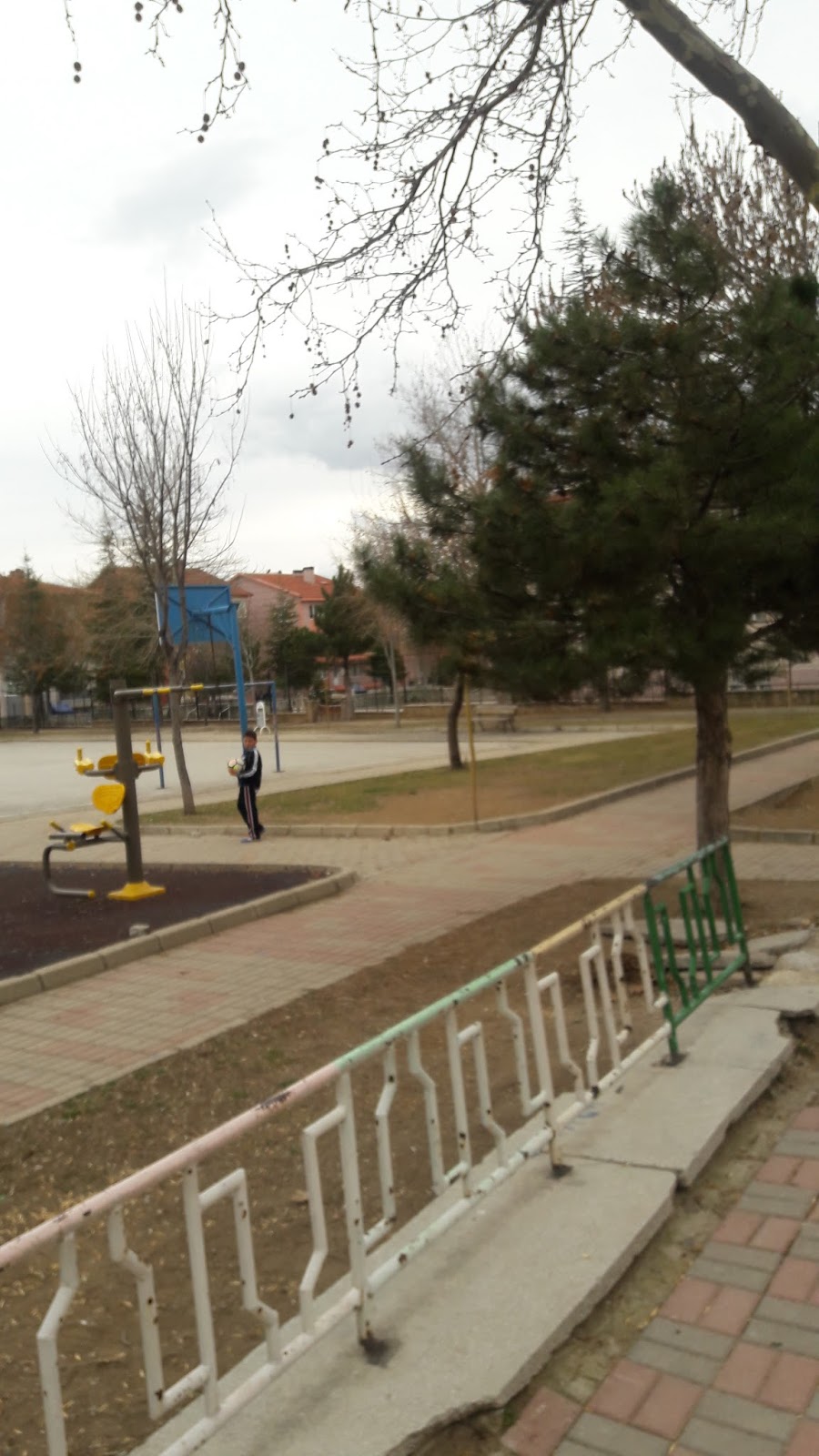 Yüksel Varlı İlkokulu Fotoğrafları 6