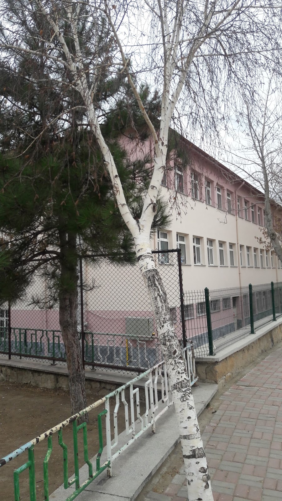 Yüksel Varlı İlkokulu Fotoğrafları 1