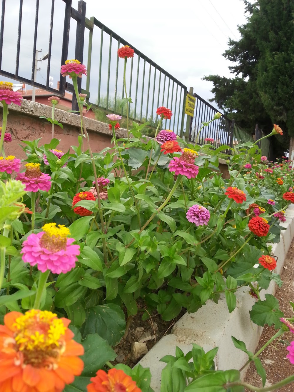 Dinar Mesleki Ve Teknik Anadolu Lisesi Fotoğrafları 1