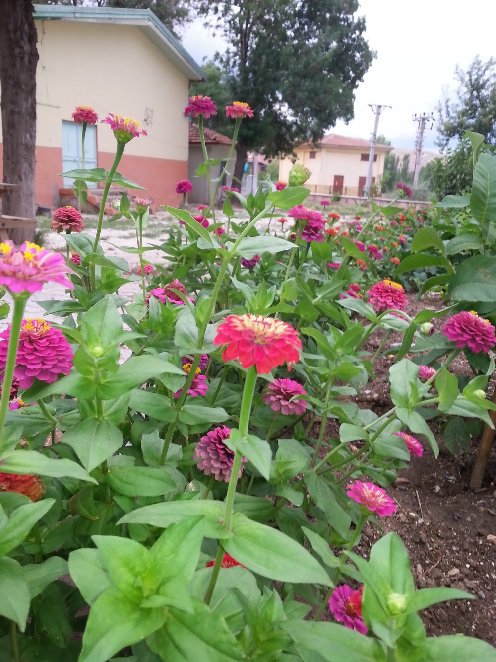 Dinar Mesleki Ve Teknik Anadolu Lisesi Fotoğrafları 2